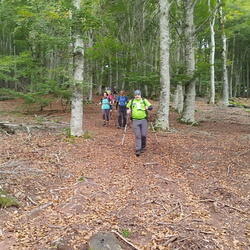 24-10-06 Arrieta-Oroz Betelu